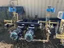 Pump Skids, w/ Dual Progressive Cavity Pumps and Instrumentation, Qty 2 Skids