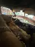 1948 chevy car