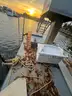 05 Custom push boat