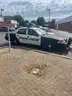 2009 Ford Crown Victoria