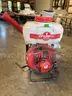 Cifarelli backpack mist blower