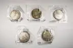 Morgan Dollar Lot