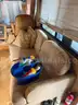 georgetown motorhome with two slides