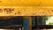 1981 Heavy Haul Tri-Axle Lowboy Trailer