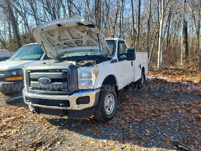 Photo of a 2013 Ford F-250 SD