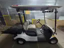 2011 Yamaha YDRA golf cart