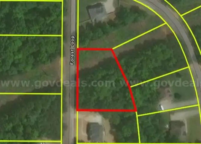 7965 Forest Loop Clay AL 35126 - Land Only - 0.67 Acre - Appraised at $36K