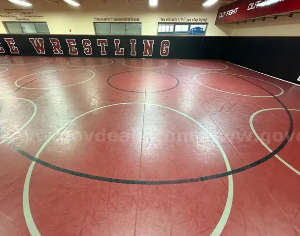 Burgandy Wrestling mats