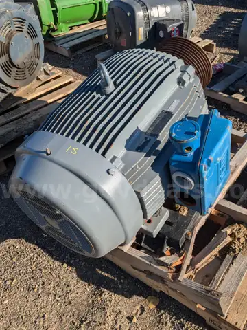WEG Inverter Motor