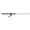 Ugly Stik Bigwater Casting Fishing Rod Penn Rival Level