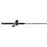 Ugly Stik Bigwater Casting Fishing Rod Penn Rival Level
