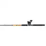 Ugly Stik Bigwater Casting Fishing Rod Penn Rival Level