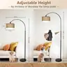 eyassi Arc Floor Lamp with Remote Modern LED Floor Lamp