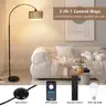 eyassi Arc Floor Lamp with Remote Modern LED Floor Lamp