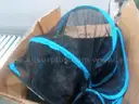 Outdoor Cat Enclosures for Indoor Patio Portable Mesh