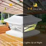 Davinci Lighting Flexfit Solar Outdoor Post Cap Lights