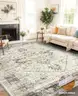 AMADA HOMEFURNISHING 8ft x 10ft Low-Profile Large Area Rug