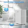 AIRPLUS 3500 Sq.Ft 50 Pint Dehumidifier for Basements