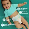 Pampers Baby Dry Size 4 Diapers, 186 Count