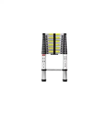 Telescopic Ladder