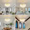 VBKK 24&#x22; Gold Coastal Chandelier Modern Crystal Tree