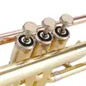 ZEFF Bb Standard Trumpet for BeginnersTrumpet for Student