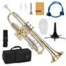 ZEFF Bb Standard Trumpet for BeginnersTrumpet for Student