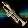ZEFF Bb Standard Trumpet for BeginnersTrumpet for Student