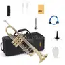 ZEFF Bb Standard Trumpet for BeginnersTrumpet for Student