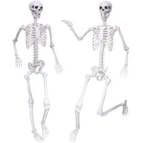 2PCS Skeletons Halloween Decorations5.9Ft Life Size
