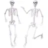 2PCS Skeletons Halloween Decorations5.9Ft Life Size