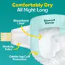 Pampers Swaddlers Baby Diapers, Size 2 - 186 Count