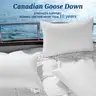 AiAngu Canadian Luxury Goose Down Pillow King Size - 1050
