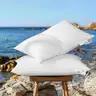 AiAngu Canadian Luxury Goose Down Pillow King Size - 1050