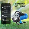 FOTING 1HP Portable Shallow Well Pump 876GPH Garden Pump