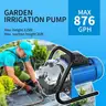 FOTING 1HP Portable Shallow Well Pump 876GPH Garden Pump