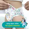 Pampers Easy Ups Training Pants - Bluey
