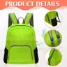 Patelai 48 Piece 17&#x22; Backpacks - Multi Colored