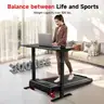 RHYTHM FUN Treadmill with Incline, Walking Pad with Handle
