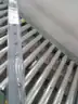 LazBlinds Cordless Cellular Shades Light Filtering