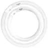 Celiwace FC16T9 40 Watt and FC12T9 32W Set, 6500K