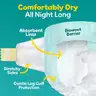 Pampers Swaddlers Baby Diapers, Size 1 -164 Count