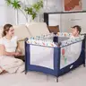 Pamo Babe Travel Foldable Portable Bassinet