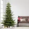 Puleo International 6.5 Foot Pre-Lit Aspen Fir Artificial
