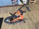 Blaupunkdt Foldable Ebike Lightweight Clemson Edition