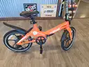 Blaupunkdt Foldable Ebike Lightweight Clemson Edition