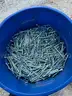 Large Barrel Of 3/8-16x 5&#x22; Long Grade 3 Bolts-WILL SHIP