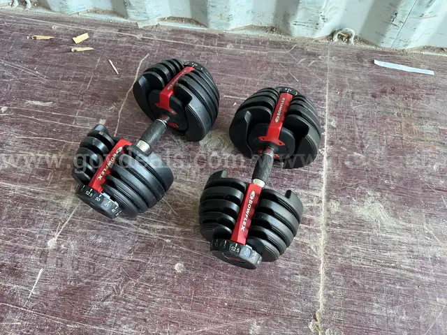 BowFlex SelectTech Series 2 552 Adjustable Dumbbells-Pickup Only