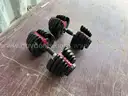 BowFlex SelectTech Series 2 552 Adjustable Dumbbells-Pickup Only