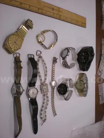 Bag of Watches